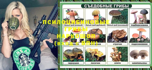 стафф Медвежьегорск