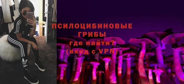 стафф Медвежьегорск
