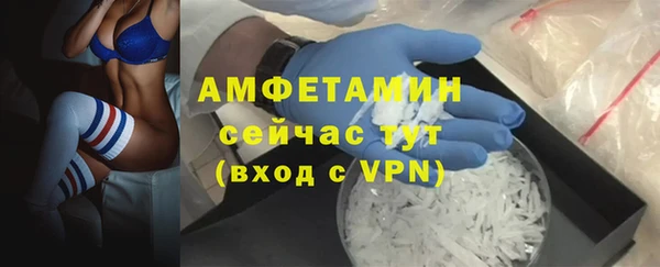 индика Новозыбков