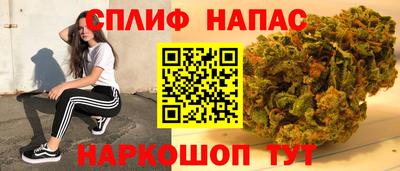 a pvp Гусев