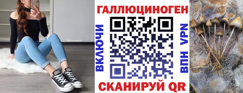 Псилоцибиновые грибы Psilocybine cubensis  мега   Ставрополь  как найти закладки 