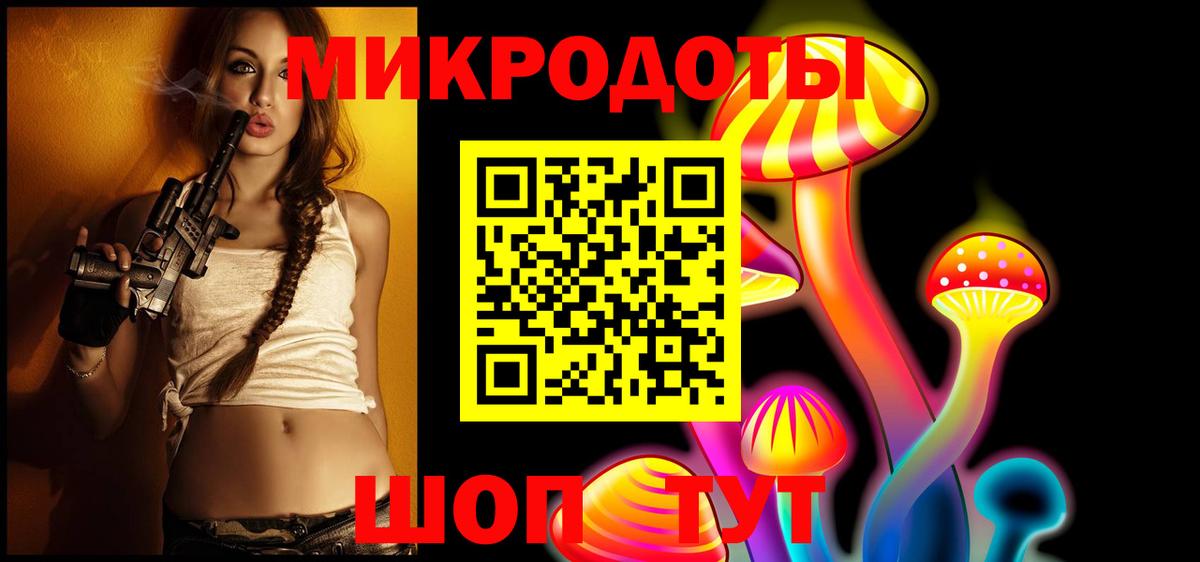 Псилоцибиновые грибы Cubensis Ставрополь