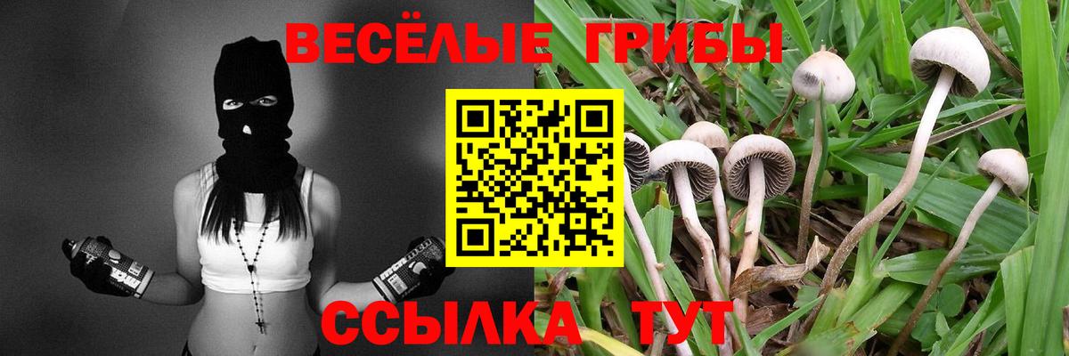 Псилоцибиновые грибы Psilocybe  Галлюциногенные грибы мицелий  Вход с VPN  Ставрополь 